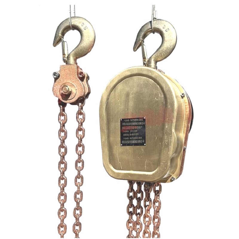 Mini Explosion-Proof Chain Electric Hoist